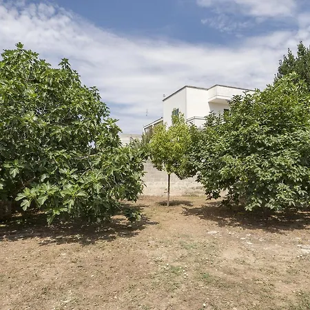 Vakantiehuis Il Cannizzo Di Adriana